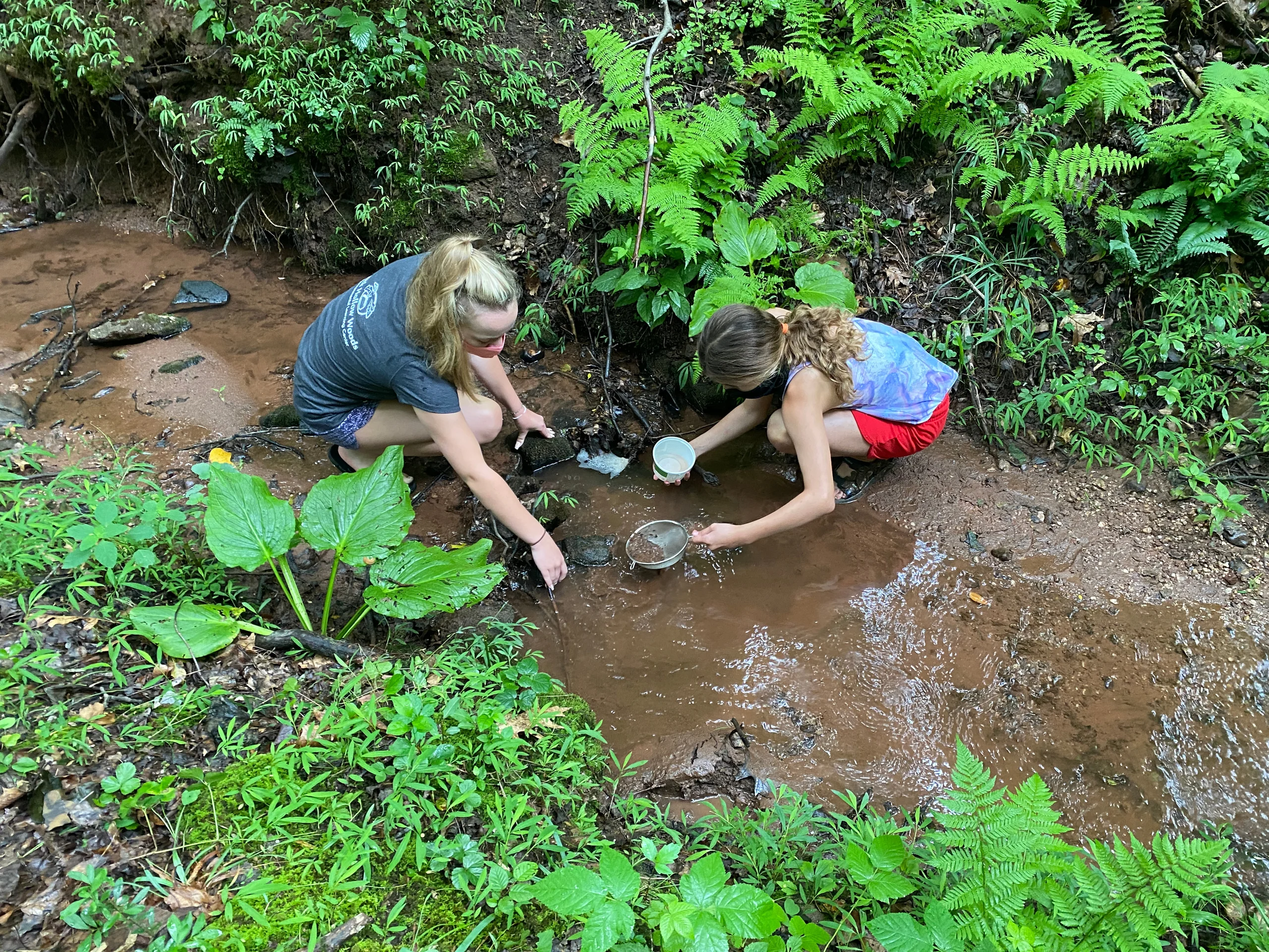 Do Children Need a Nature Connection?